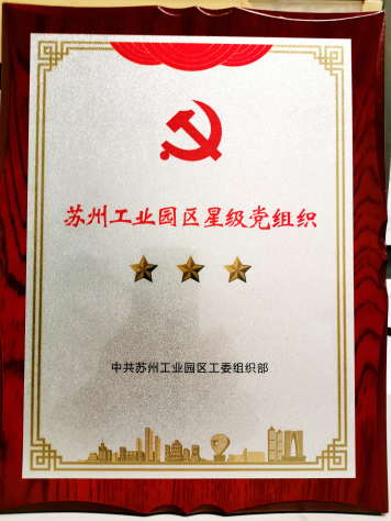 三亿官方版网站登录入口党委参加工业园区娄葑街道纪念中国共产党成立98周年座谈会并受表彰