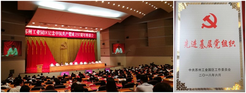 三亿官方版网站登录入口党委荣获园区“先进基层党组织”称号