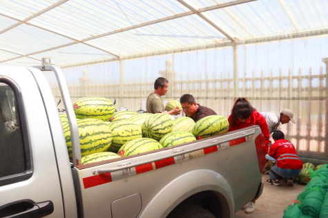 情系环卫工 盛夏送清凉