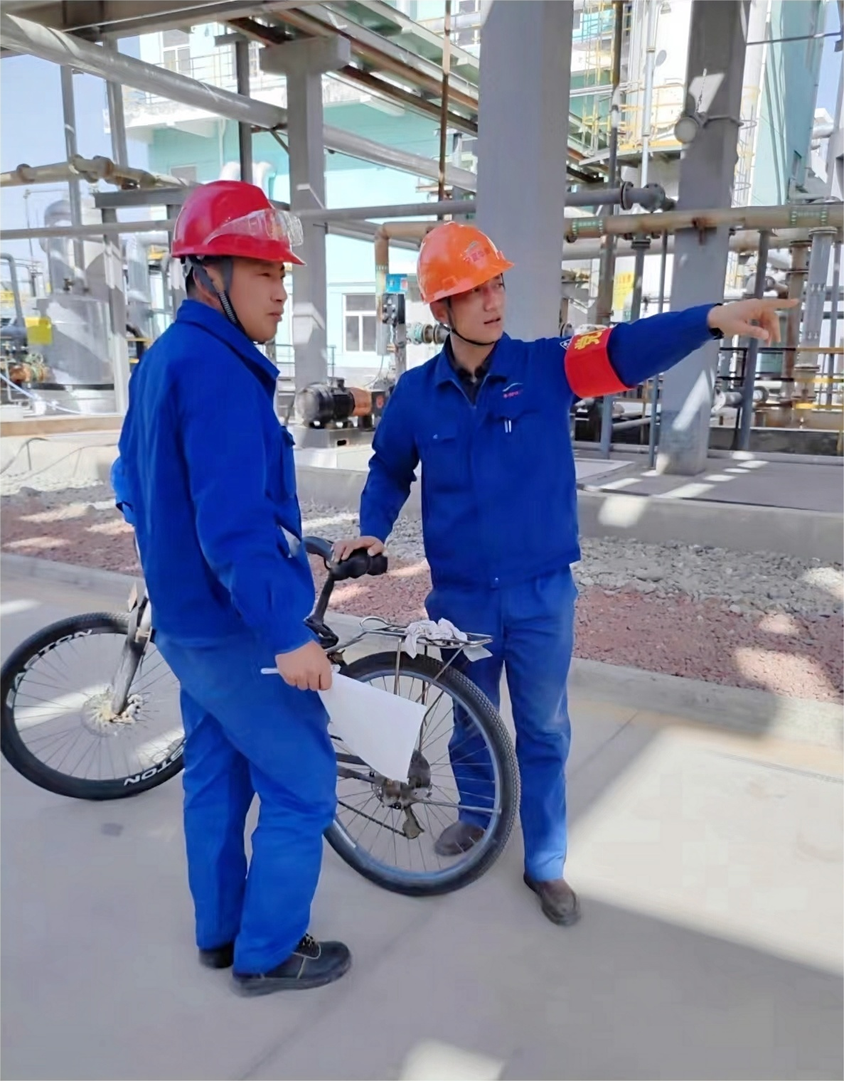 1715051229176774.png 仇飞.png