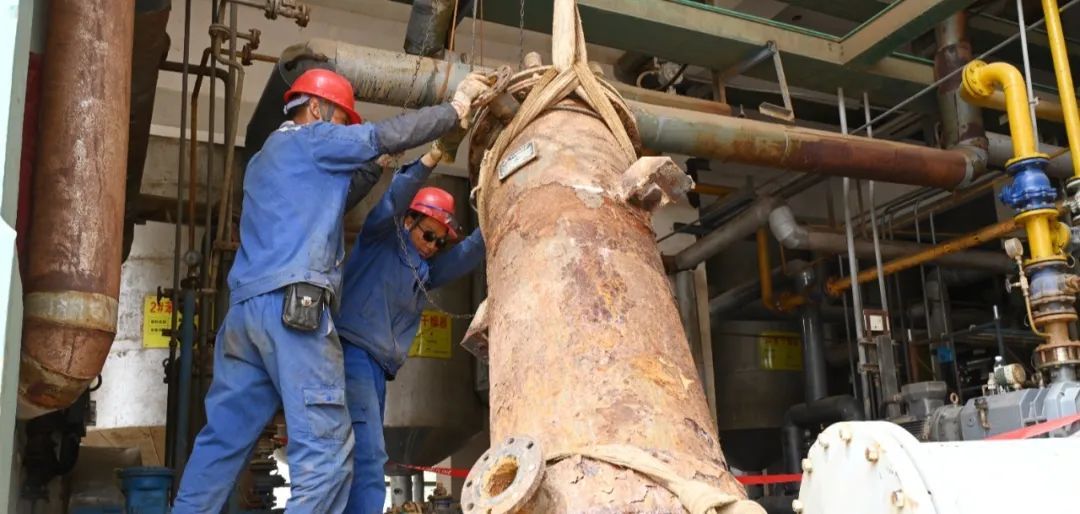 1725331577193230.jpg 640.jpg