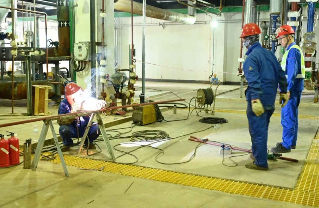 1725331606191812.jpg 640 (5).jpg